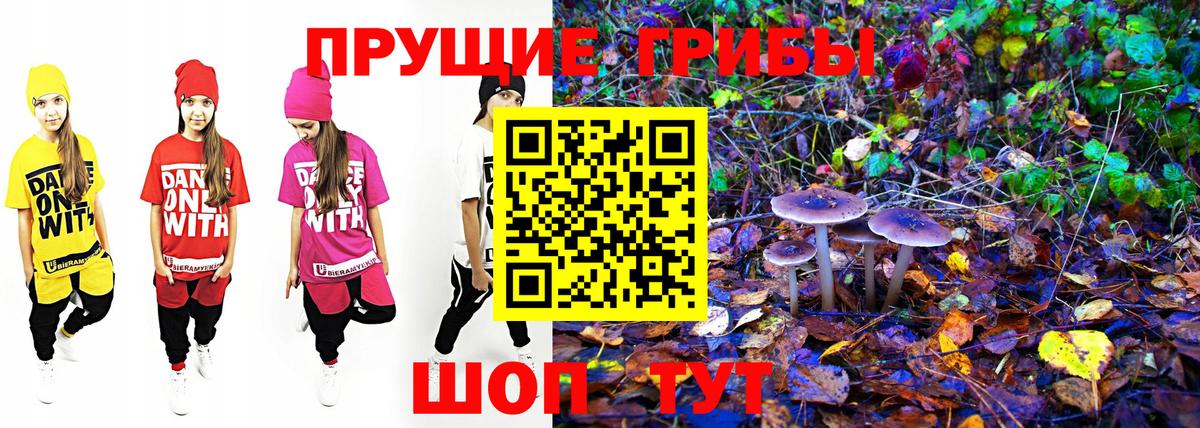Галлюциногенные грибы Cubensis  Вход с VPN  Белгород 